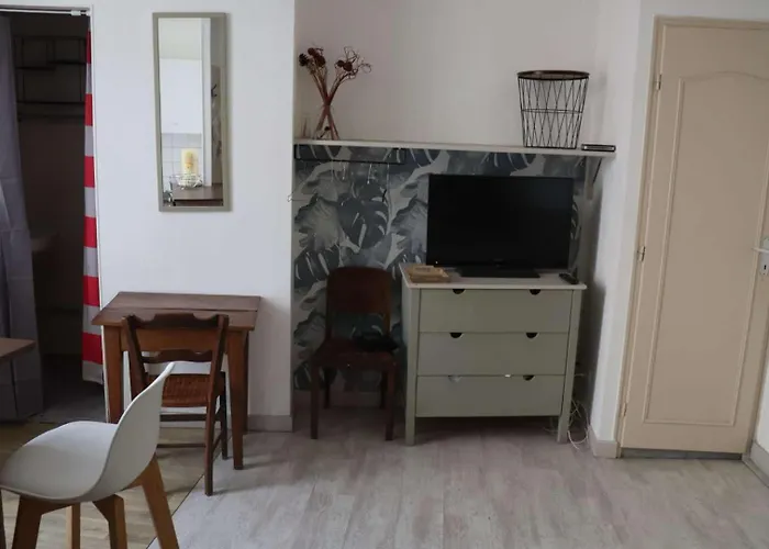 Agréables Avec Terrasse Sur Jardin * Caussade